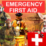 Emergency first aid